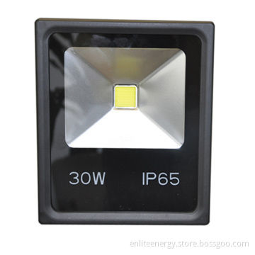 AC LED Floodlight, 30W High Power, White Light, 2,700-6,500K, Black, Water-resistant, Promotional